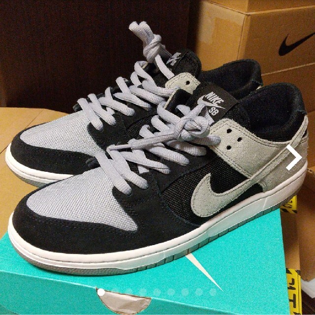 【美品】NIKE/ナイキ DUNK LOW PRO IW アイショッド 28cm