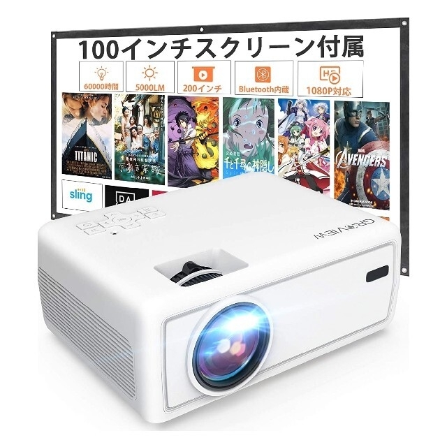 GROVIEW LED PROJECTOR