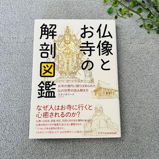 仏像とお寺の解剖図鑑 お寺の境内に散りばめられた仏の世界の読み解き方(アート/エンタメ)