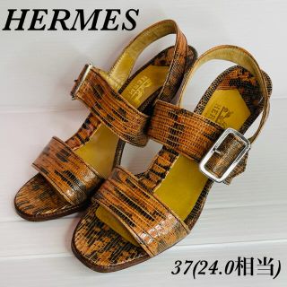 エルメス パイソンの通販 16点 | Hermesを買うならラクマ