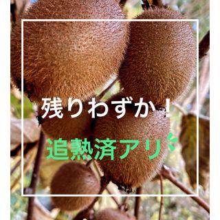 数量限定  完全無農薬 キウイフルーツ 岡山県産 約１ｋｇ（約13玉入）(フルーツ)