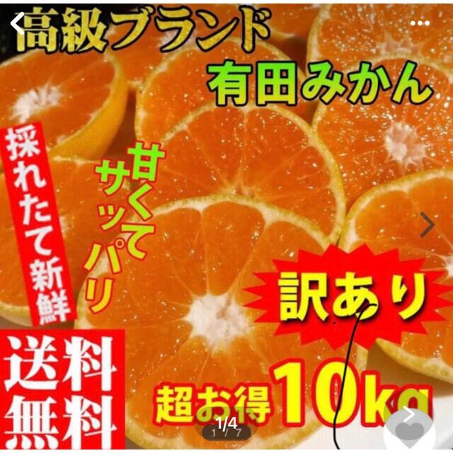 有田みかん　10キロ 食品/飲料/酒の食品(フルーツ)の商品写真