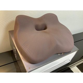 リファ(ReFa)のStyle AIR 姿勢矯正椅子　付属品あり(エクササイズ用品)