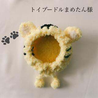 ハンドメイド　小型犬用　帽子/トイプードルまめたん様(ペット服/アクセサリー)