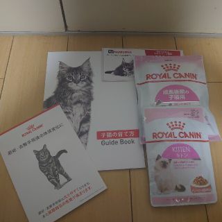 ロイヤルカナン(ROYAL CANIN)のロイヤルカナン子猫用　フードお試しセット（クーポン付）(猫)