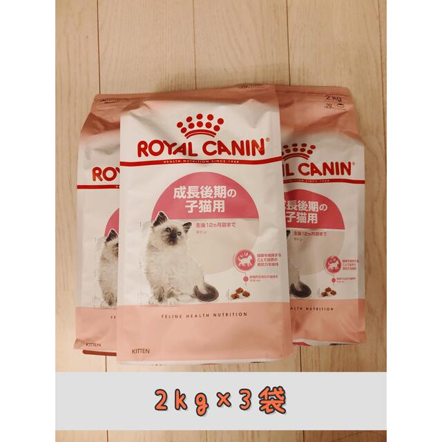 ROYAL CANIN(ロイヤルカナン)のロイヤルカナン キトン ROYAL CANIN 2kg×3袋セット 新品未開封 その他のペット用品(猫)の商品写真