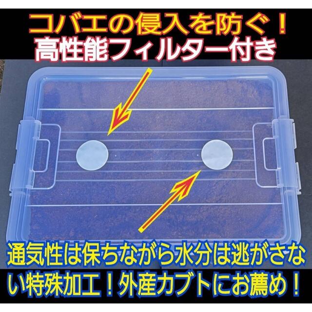 カブト幼虫を入れるだけ！便利！ケース付き☆プレミアム3次発酵マット10リットル