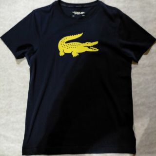 ラコステ(LACOSTE)のLACOSTE  Tshirt  Tシャツ(Tシャツ/カットソー(半袖/袖なし))