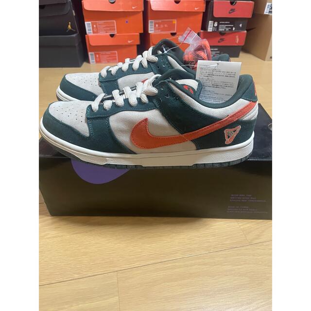 Nike Dunk SB Low  Eire