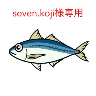 seven.koji様専用(その他)