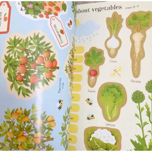 usborne firststickerbookFruit&Vegetables キッズ/ベビー/マタニティのおもちゃ(知育玩具)の商品写真