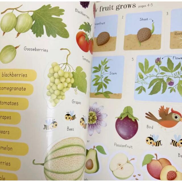 usborne firststickerbookFruit&Vegetables キッズ/ベビー/マタニティのおもちゃ(知育玩具)の商品写真