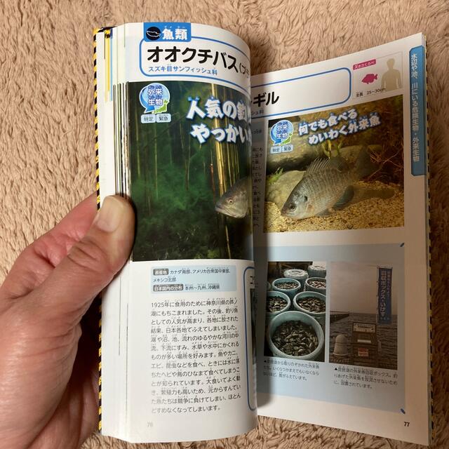 気をつけろ！！！危険生物・外来生物図鑑 エンタメ/ホビーの本(絵本/児童書)の商品写真