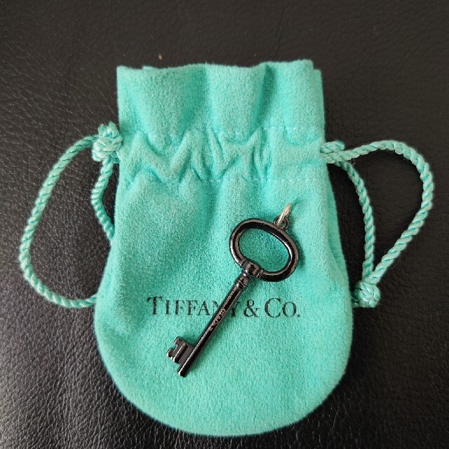 Tiffany & Co.(ティファニー)の【希少】TIFFANY&Co/キーペンダント/チタンチョーカー レディースのアクセサリー(ネックレス)の商品写真