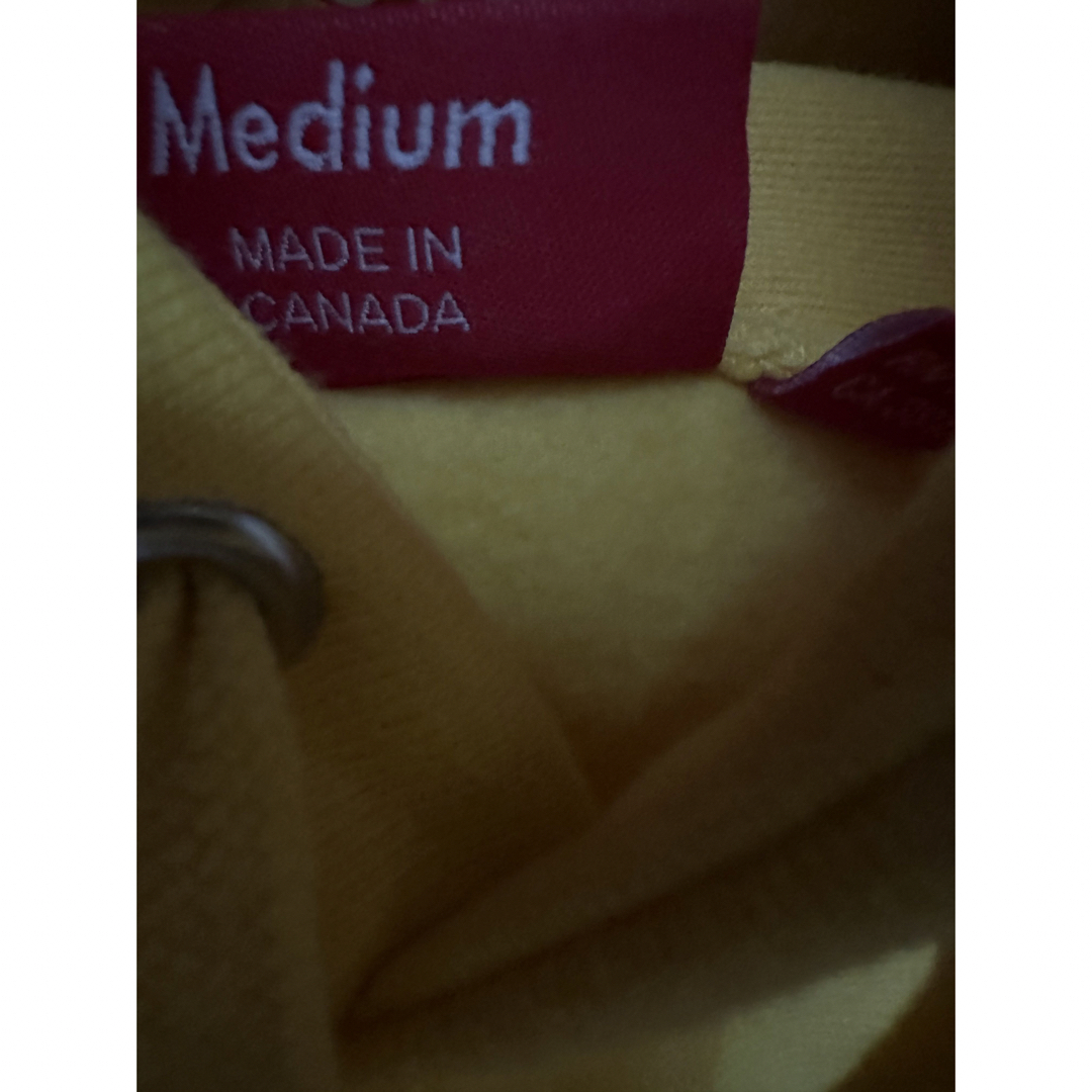 Supreme(シュプリーム)の最安値　新品未使用シュプリーム　Apple hooded sweat shirt メンズのトップス(パーカー)の商品写真