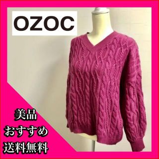 オゾック(OZOC)のオゾック　OZOC ハイゲージニット　(ニット/セーター)