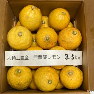 広島県大崎上島産無農薬レモン3.5kg(フルーツ)