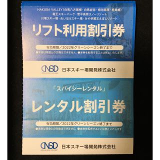 日本駐車場開発株主優待券★スキーリフト＆レンタル割引券セット(スキー場)