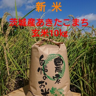 茨城令和3年産新米あきたこまち玄米10㎏(米/穀物)