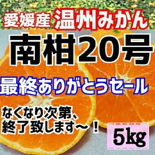 ★最終セール★愛媛産 温州みかん 5㎏(フルーツ)