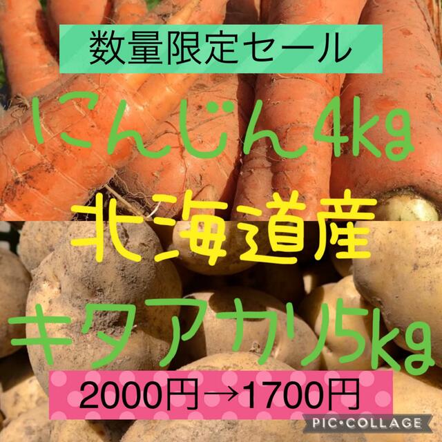 北海道産キタアカリ5kgにんじん4kg 食品/飲料/酒の食品(野菜)の商品写真