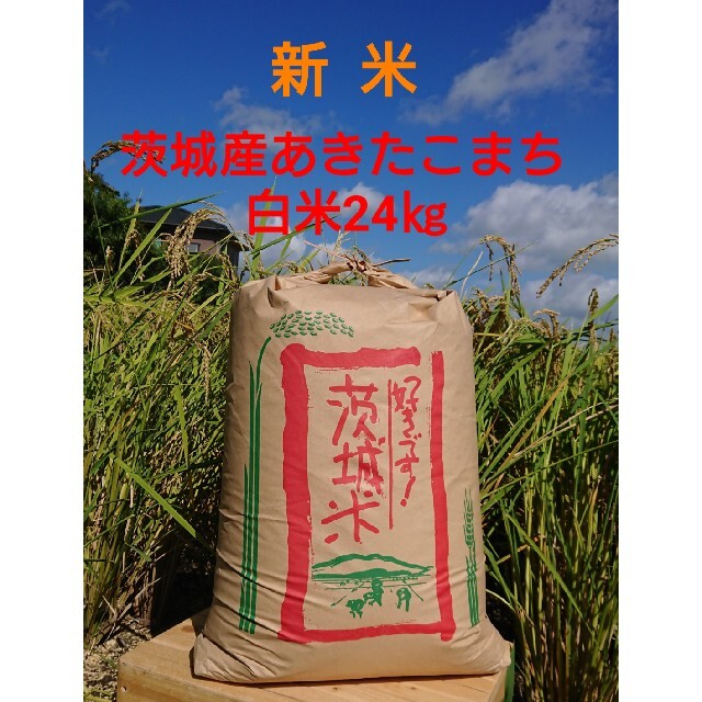 茨城令和3年産新米あきたこまち精米済み白米24㎏　米/穀物