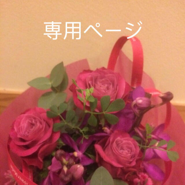 CIEL様専用ページ clubpetschile.cl