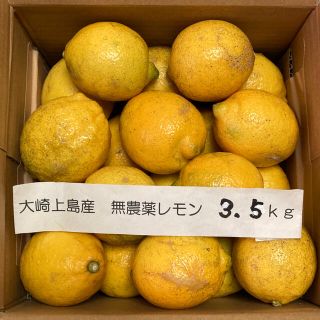 広島県大崎上島産無農薬レモン3.5kg(フルーツ)