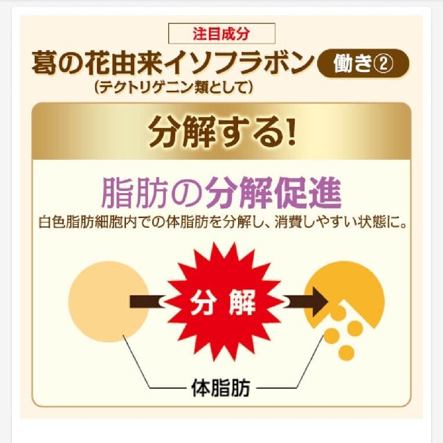 大正製薬 おなかの脂肪が気になる方のタブレット 30日分 ( ２袋セット) 6