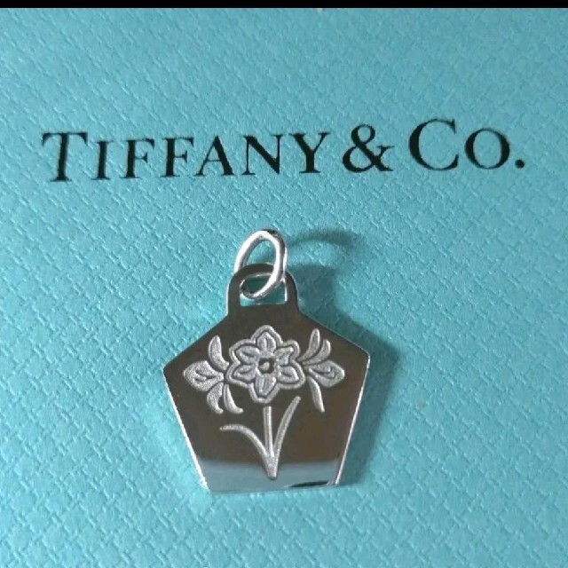 Tiffany & Co.(ティファニー)の新品＊ティファニー  アマリリス ネックレス ペンダントトップと証明カード付き レディースのアクセサリー(ネックレス)の商品写真