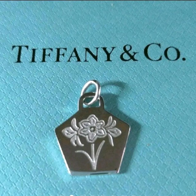 Tiffany & Co.(ティファニー)の新品＊ティファニー  アマリリス ネックレス ペンダントトップと証明カード付き レディースのアクセサリー(ネックレス)の商品写真