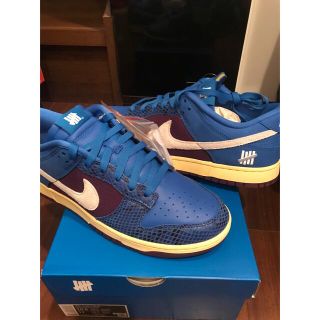 アンディフィーテッド(UNDEFEATED)の28.5cm NIKE DUNK LOW SP UNDFTD アンディ(スニーカー)