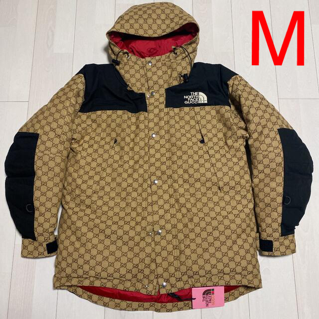 大特価 THE NORTH FACE × GUCCI コラボダウン