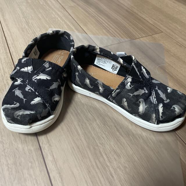 TOMS(トムズ)のトムズ　サメ柄　スリッポン　14㎝ キッズ/ベビー/マタニティのベビー靴/シューズ(~14cm)(スリッポン)の商品写真