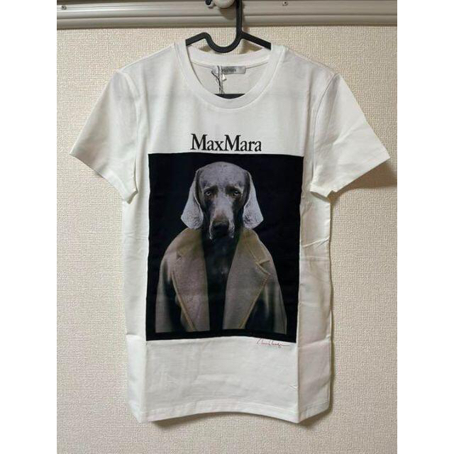 MaxMara Tシャツ dogstar XSサイズ