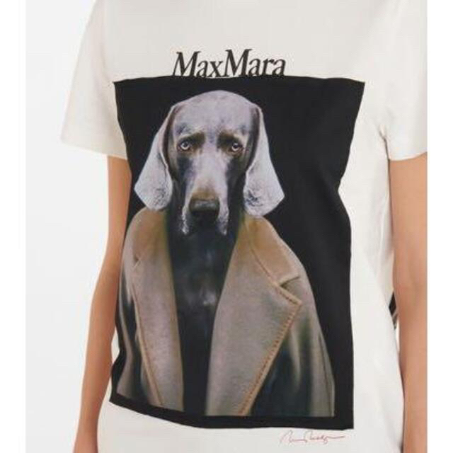 MaxMara Tシャツ dogstar XSサイズ（2万円台以下マックスマーラ