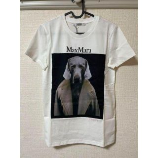 マックスマーラ(Max Mara)のMaxMara Tシャツ dogstar XSサイズ(Tシャツ(半袖/袖なし))