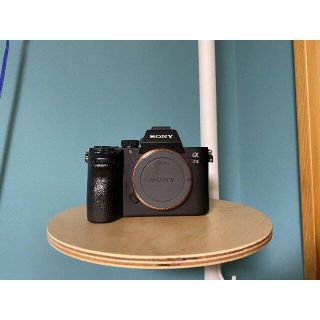 SONY a7Ⅲ ぐっちゃんさん専用 | www.jarussi.com.br