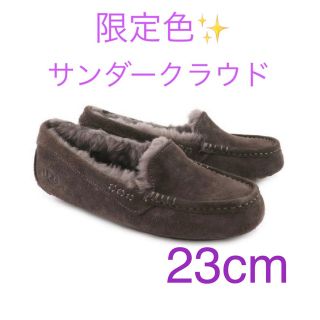 アグ(UGG)の新作 ウォータープルーフ UGG アンスレー サンダークラウド US6(スリッポン/モカシン)