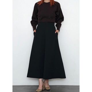 フィーニー(PHEENY)の2021 PHEENY Triple cloth circular skirt(ロングスカート)