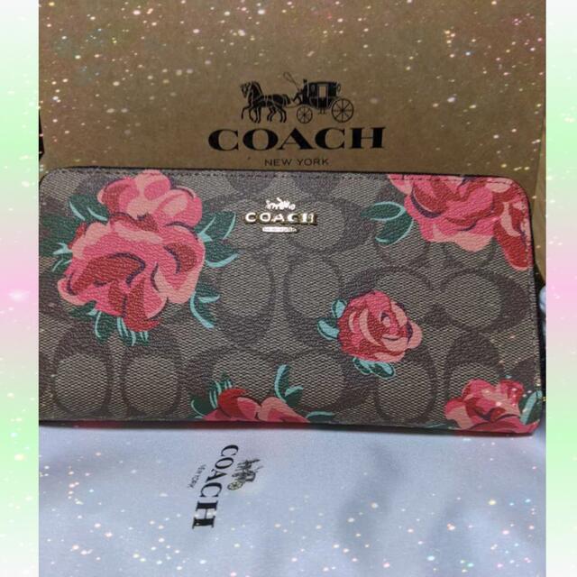 新品 COACH コーチ 長財布 花柄