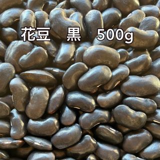 花豆　黒　500g(米/穀物)