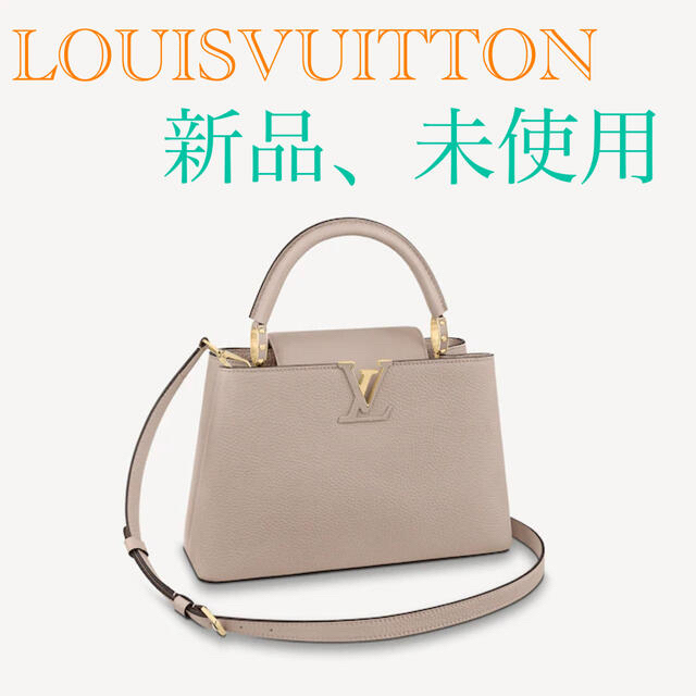 FENDILOUISVUITTON ルイヴィトン　カプシーヌ