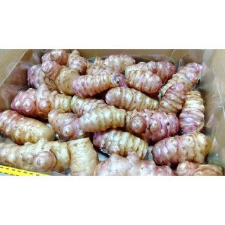 糖尿病予防にイヌリン2割UP!紫キクイモ宅急便コンパクトぎっしり詰め（菊芋）(その他)