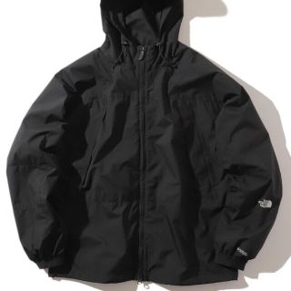 ザノースフェイス(THE NORTH FACE)のノースフェイス　ビームス　ゴアテックス　マウンテンパーカー　別注ジャケット(マウンテンパーカー)