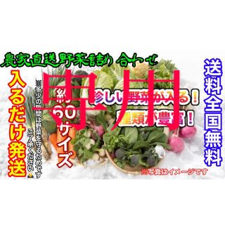 おまかせ冬野菜詰め合わせ約６０サイズ入るだけ発送！(野菜)