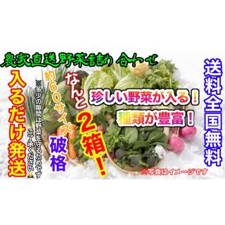 おまかせ冬野菜詰め合わせ約６０サイズ2箱入るだけ発送！破格！(野菜)