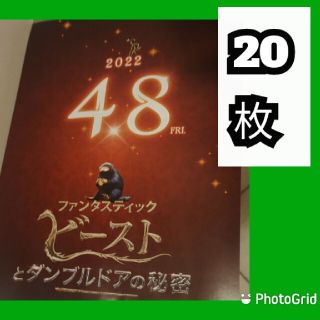 ファンタスティック・ビーストとダンブルドアの秘密 フライヤー セット2022(印刷物)