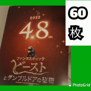 ファンタスティック・ビーストとダンブルドアの秘密 フライヤー セット2022(印刷物)