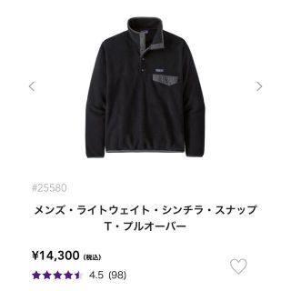 パタゴニア(patagonia)のパタゴニア　フリース　スナップT プルオーバー　メンズ(ブルゾン)